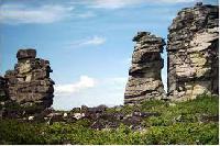 ������������ �����