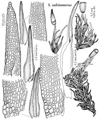 ��������� ����������������