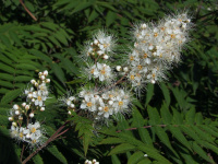 �������� �������������