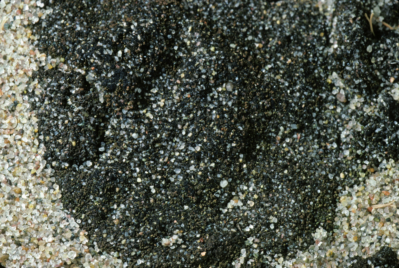 ������������ ������������