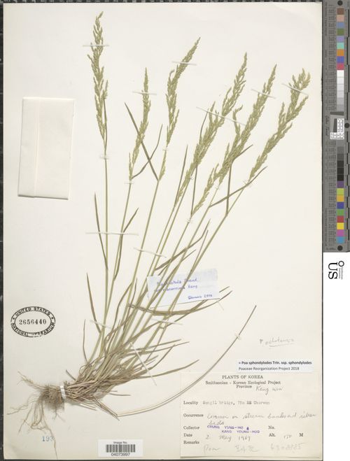 ������ ��������������