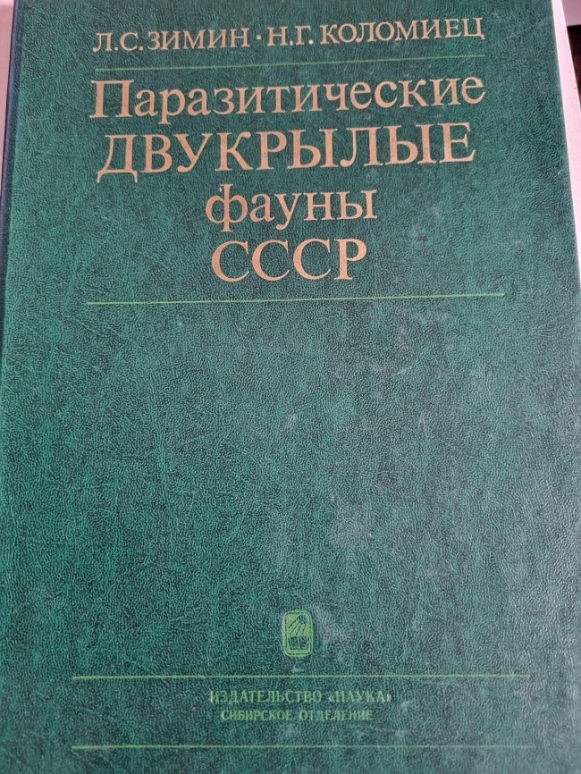 �������������� ��������� ����� ����