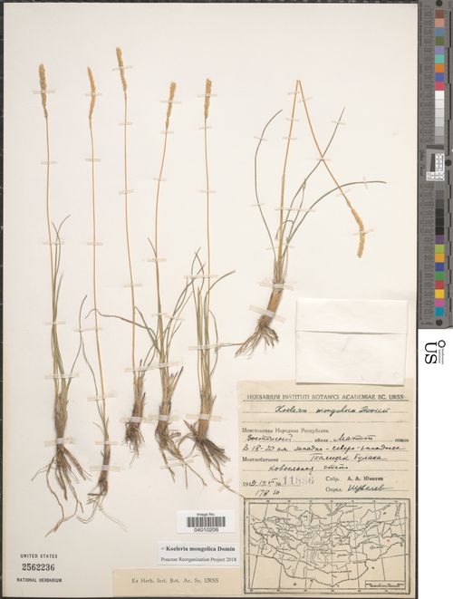 �������� �����������