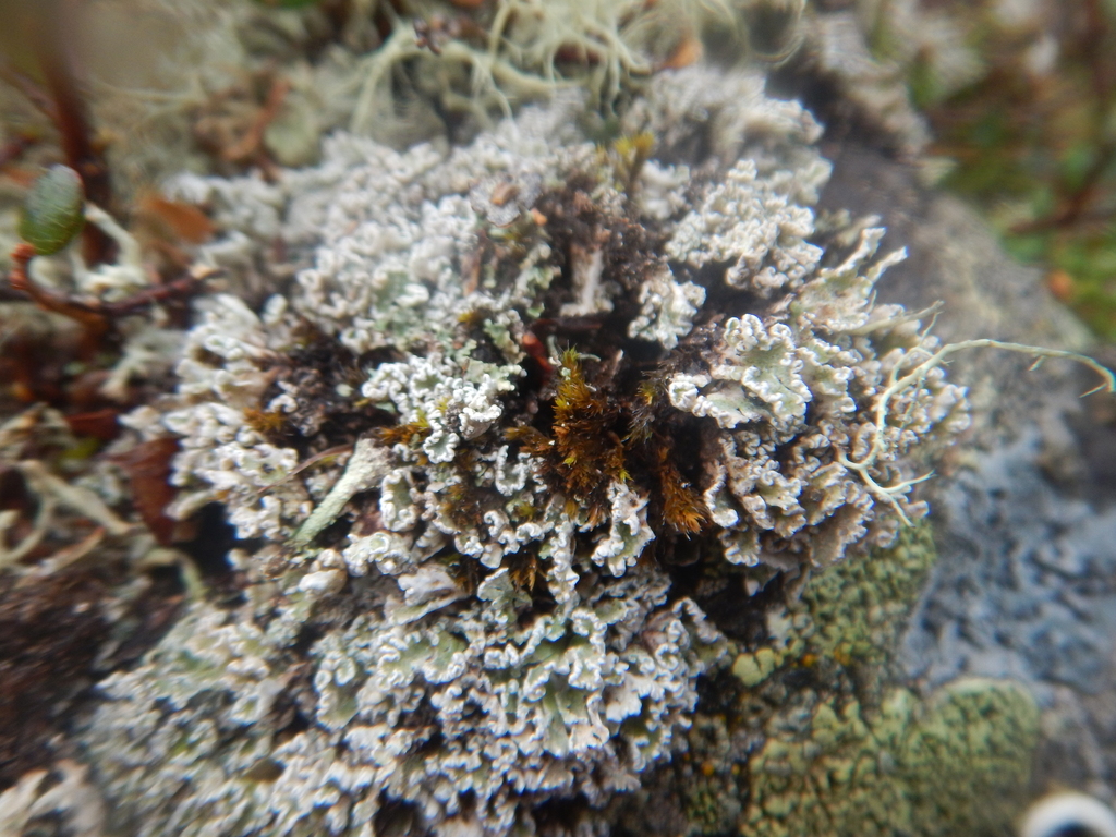 ������������ ����������������