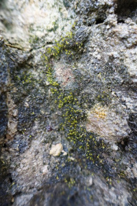 ��������� �����������