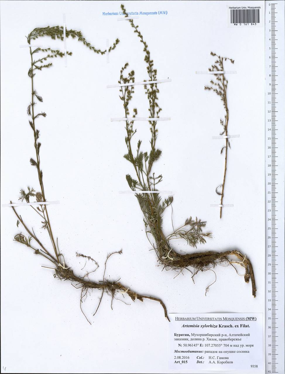 ������ ����������������