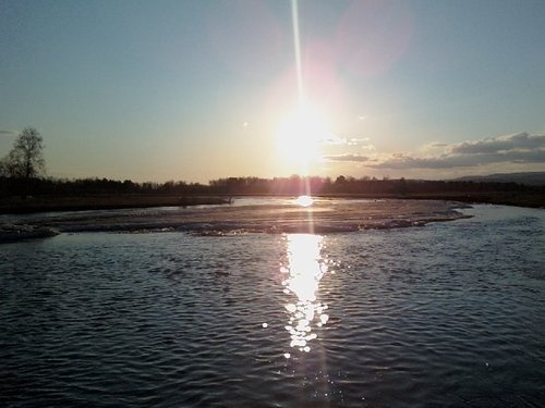 ������������ ��������