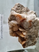 ����� ��������