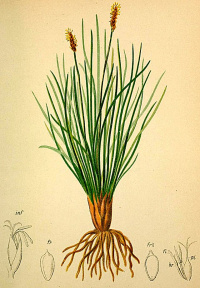 �������� ����������������