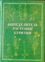 ������������ �������� �������