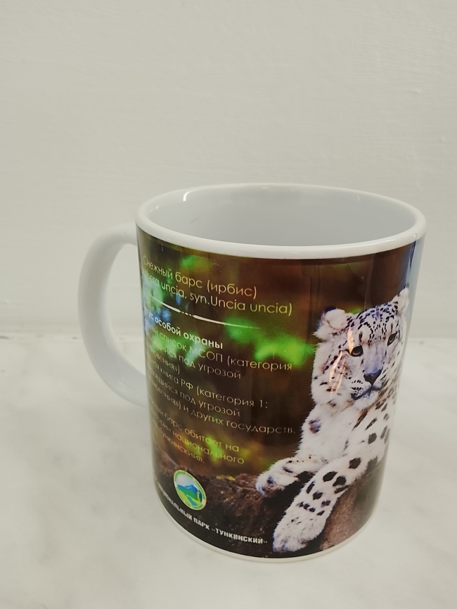 ������ ������� ����������, ������� ����