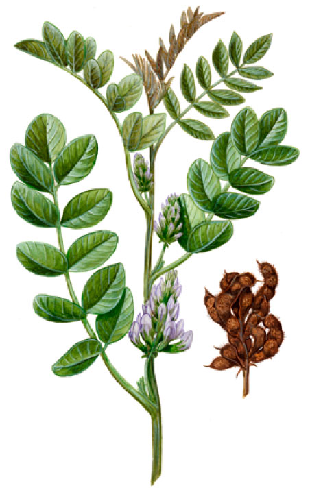 ������� ���������