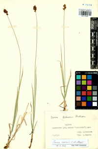 ����� �����������