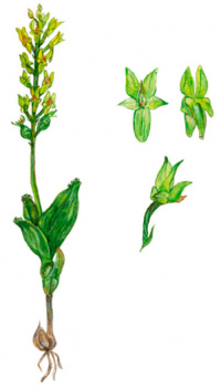 ��������� ��������