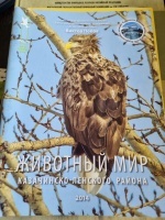 �������� ��� ����������-�������� ������