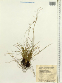 ����� ��������