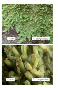 ������ ����������