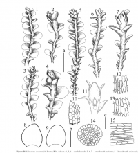 ����������� �����