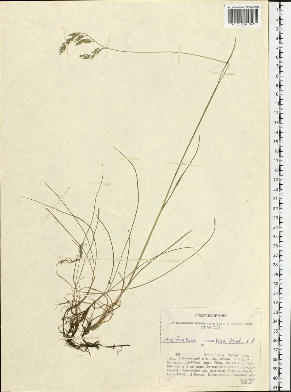 �������� ��������