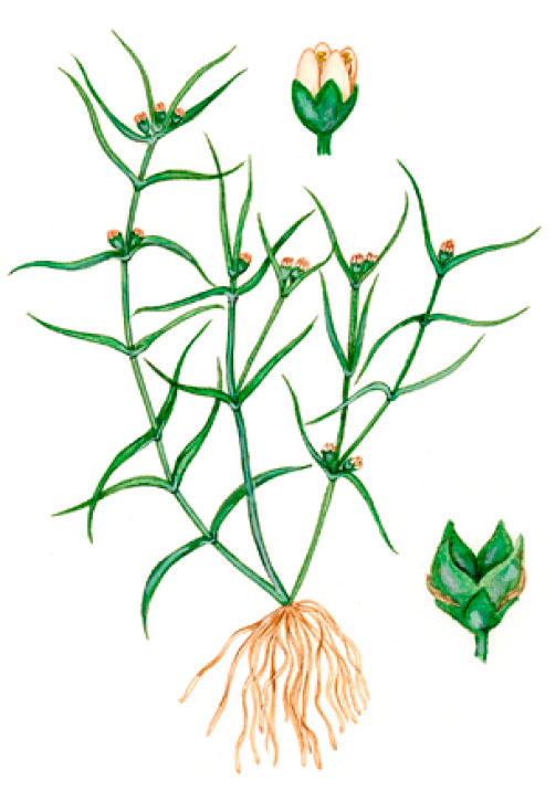 ��������� ������ [������ ������]