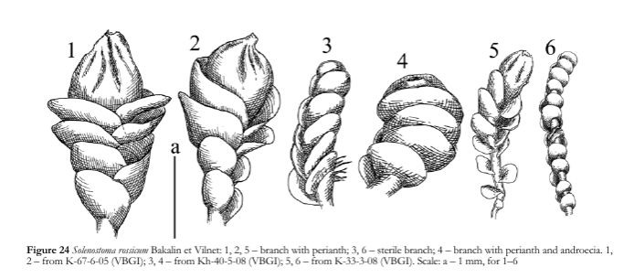 ����������� ����������