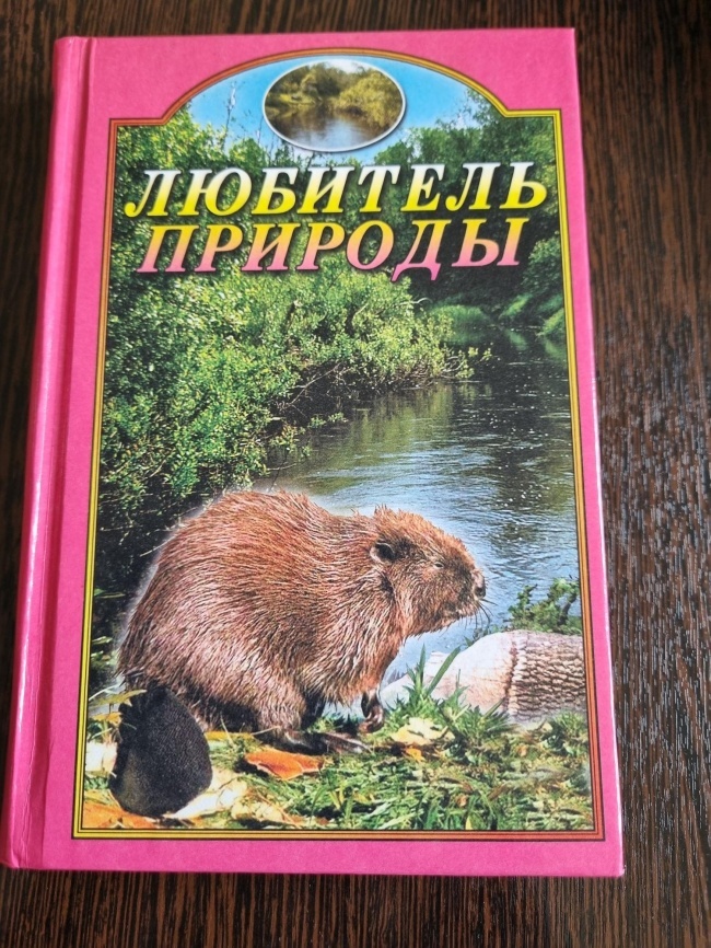 �������� �������