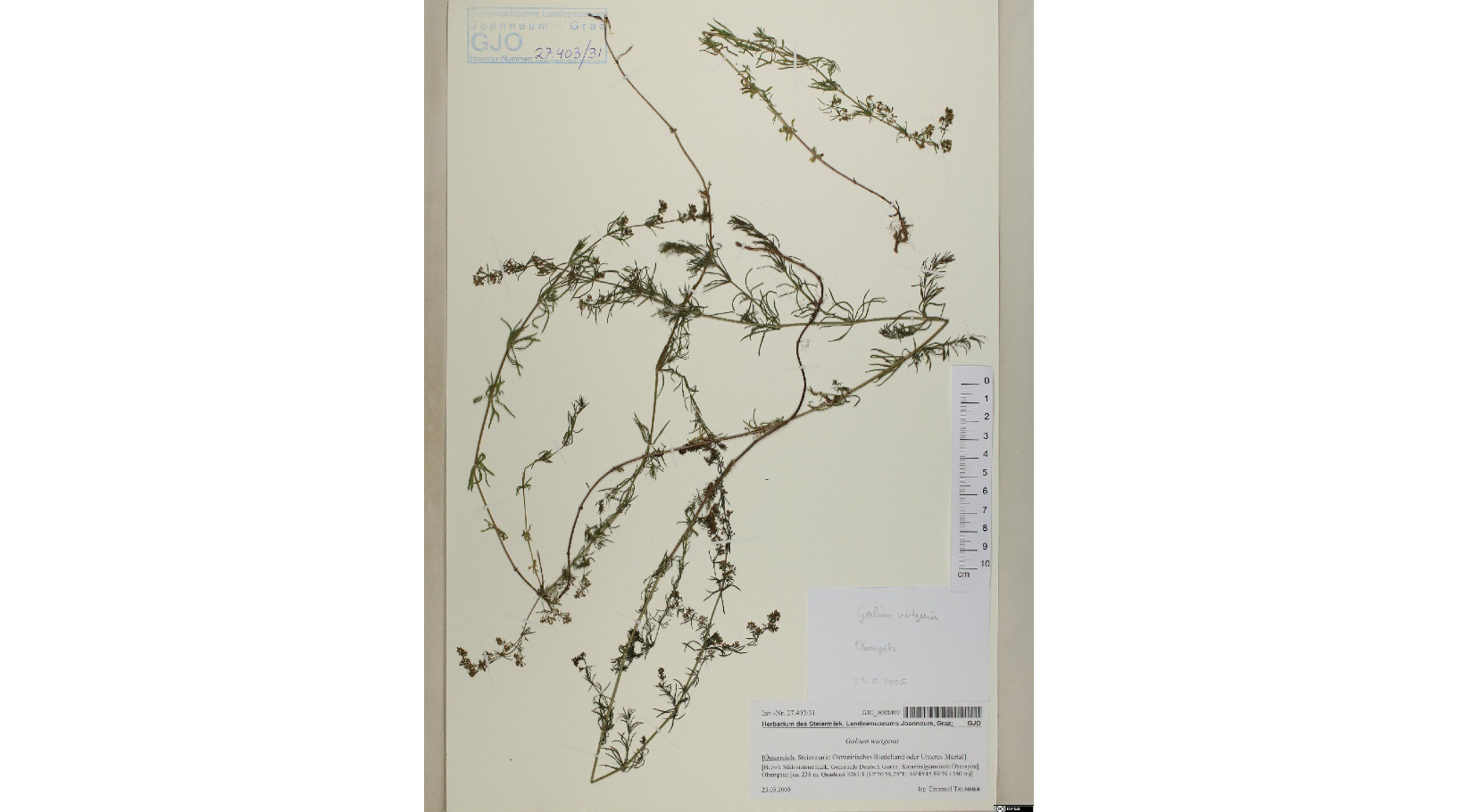 ����������� ��������