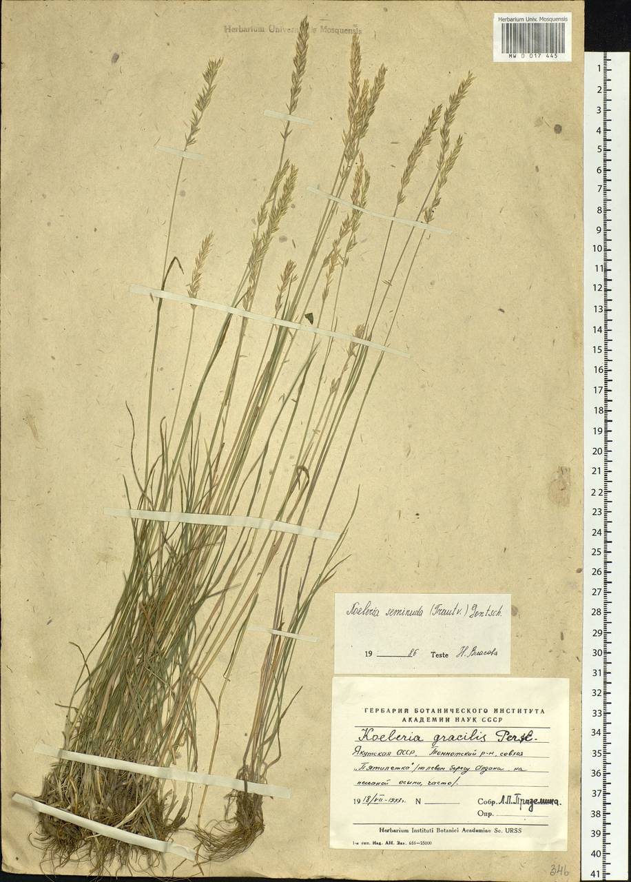 �������� ���������