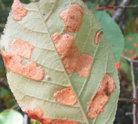 ���������� ������