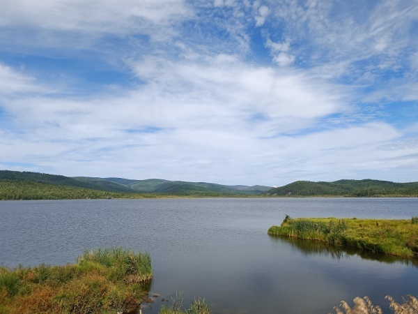 ����� ��������