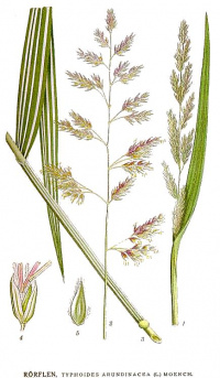 ����������� ������������, ������������ ���������������