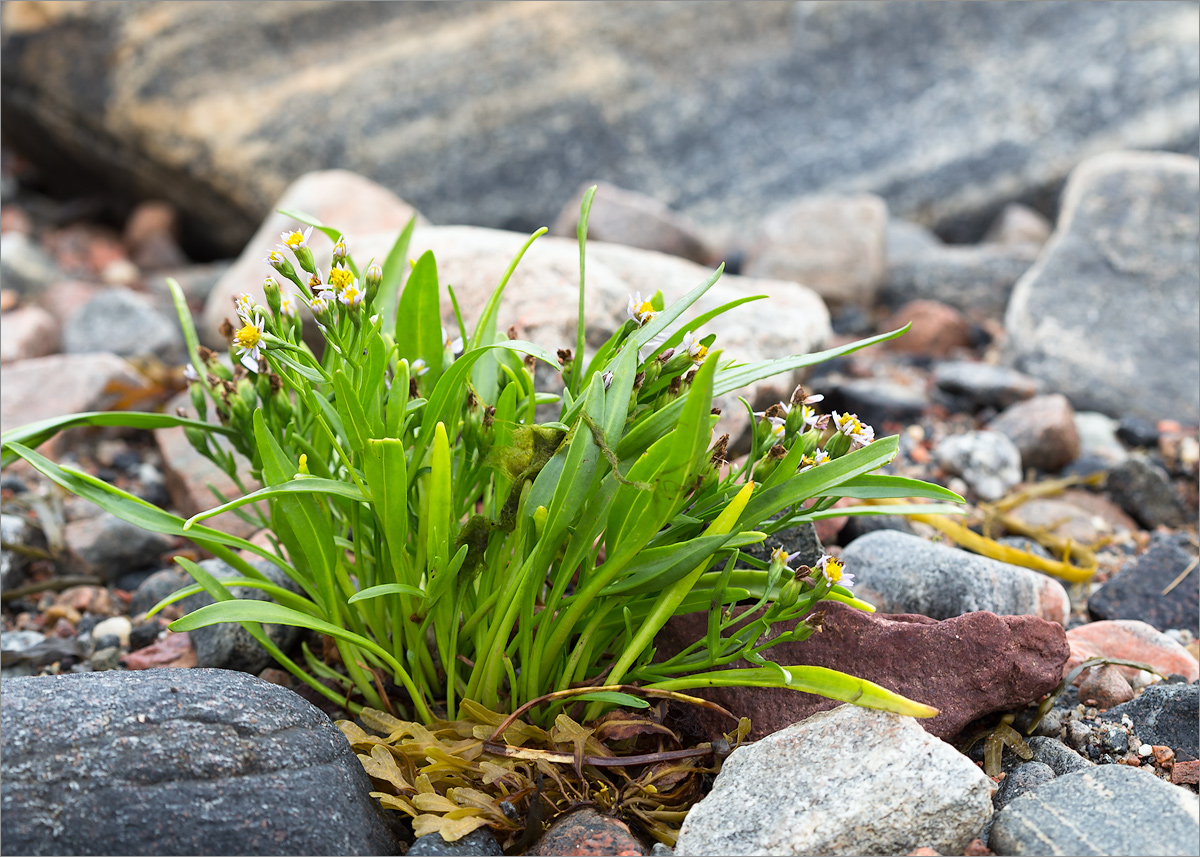 ��������� ����������