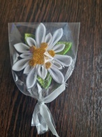 ����� "���������"