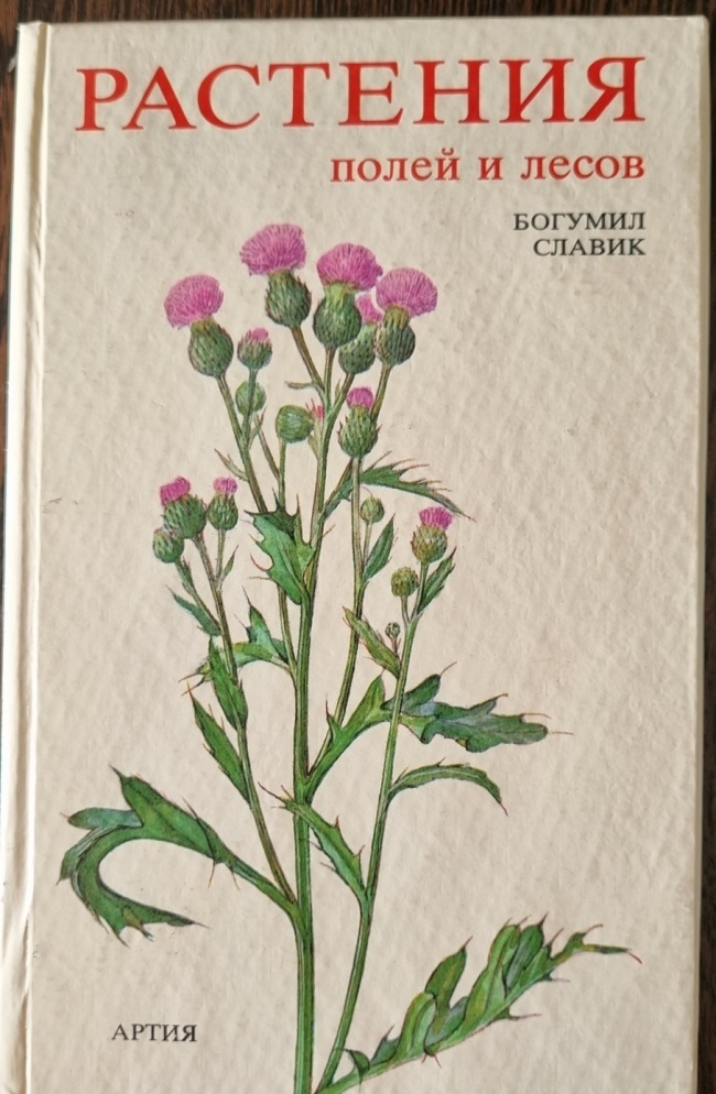 �������� ����� � ����� , ������� �.