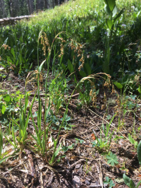 ����� ��������������