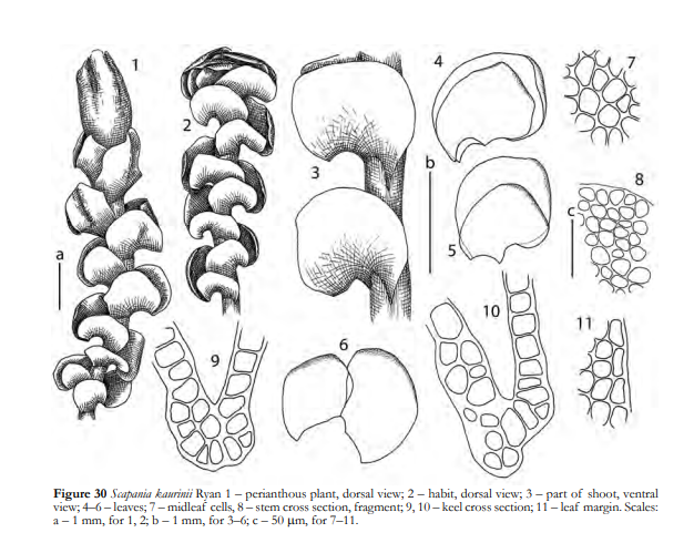 �������� �������