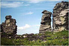 ������������ �����