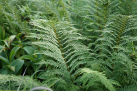 ���������� �������������������