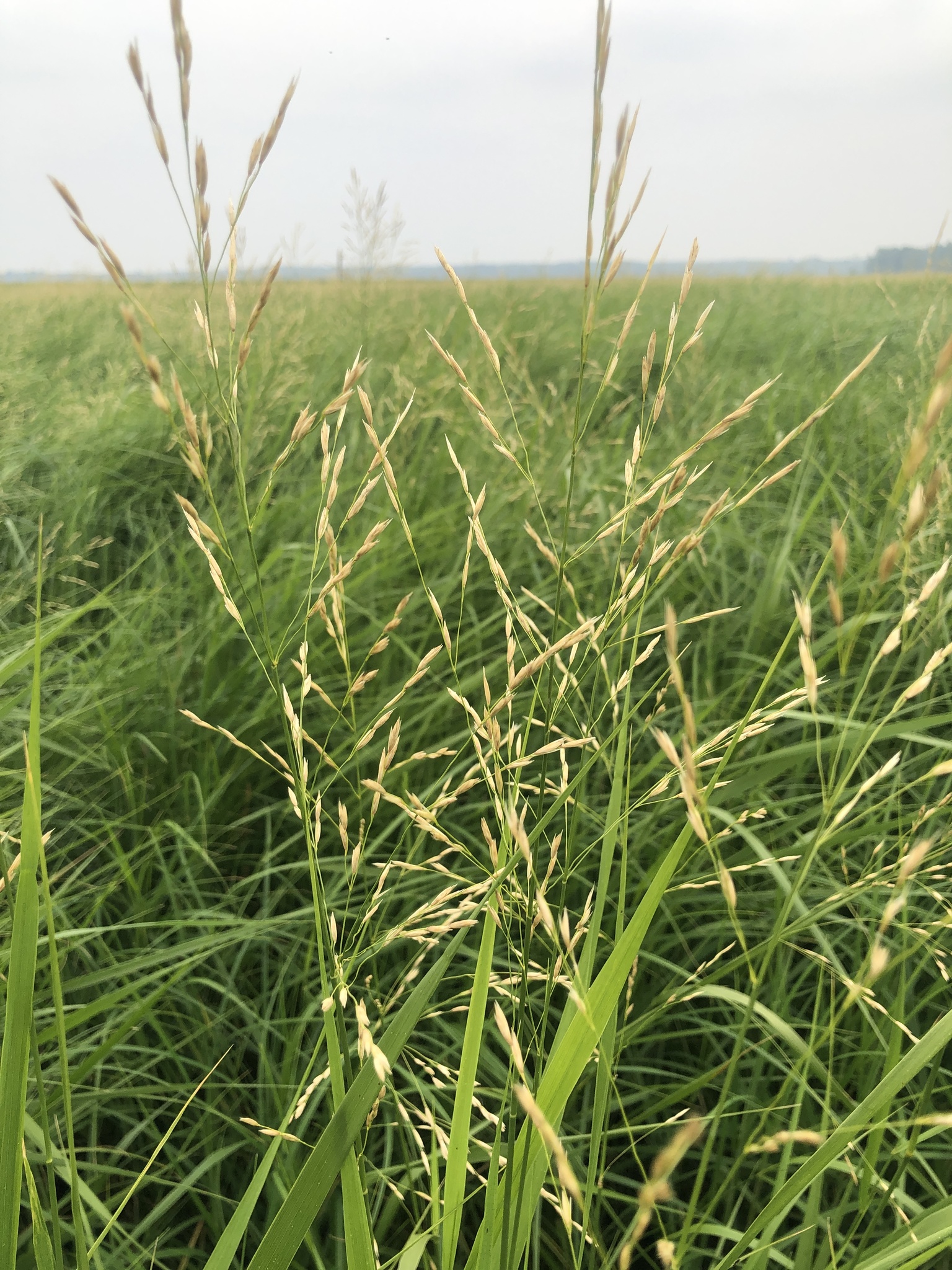 ��������� ��������������