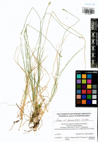 ����� ������������