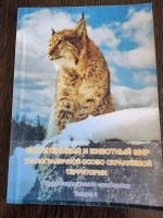 ������������ � �������� ��� �������������� ����� ���������� ����������. ����� ������������� �����������