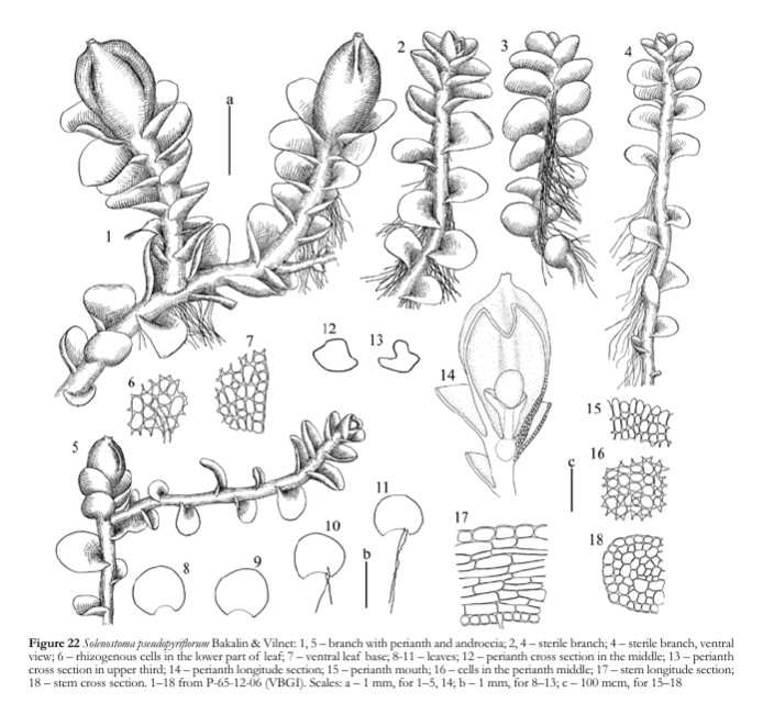 ����������� ������������������������