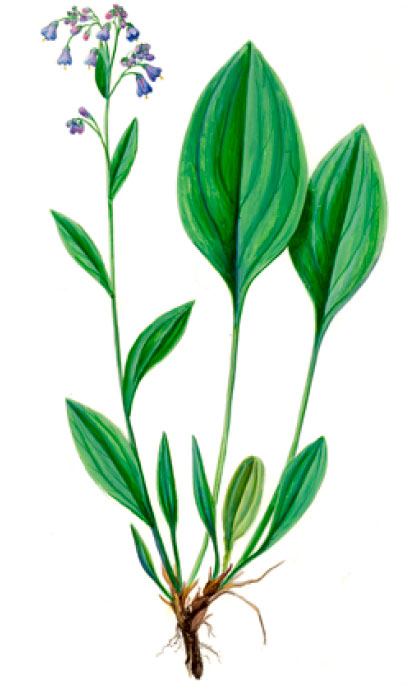 ��������� ���������