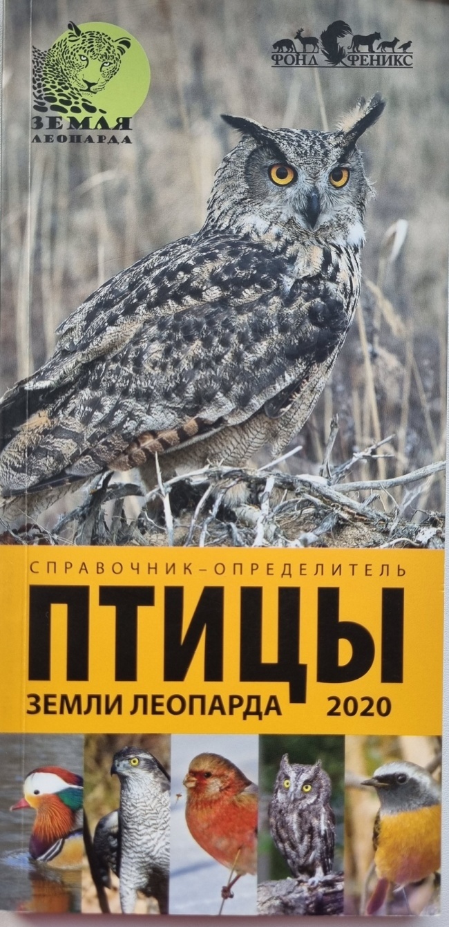 ����� "����� ��������", ����������-������������