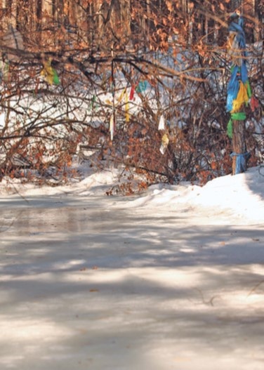 ������������� ��������