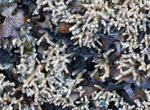 ���������� ������