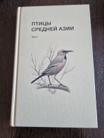 ����� ������� ���� ��� 2