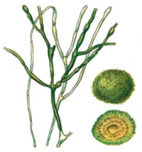 ���������� ������