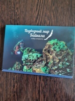 ����� �������� "��������� ��� �������"