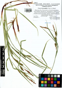 ����� �����������